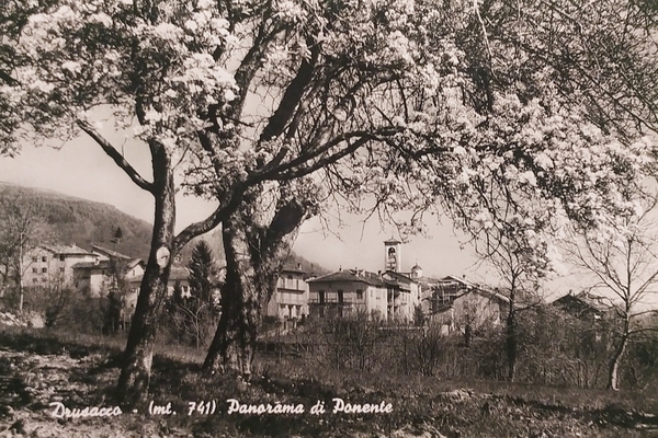 Cartolina - Drusacco - Panorama di Ponente - 1958