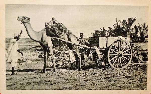 Cartolina Coloniale - Africa Orientale - Trasporti tigrini - 1925 …