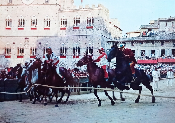 Cartolina - Siena - 2 Luglio - 16 Agosto - …