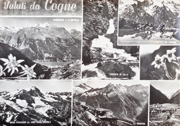 Cartolina - Saluti da Cogne - Vedute diverse - 1962