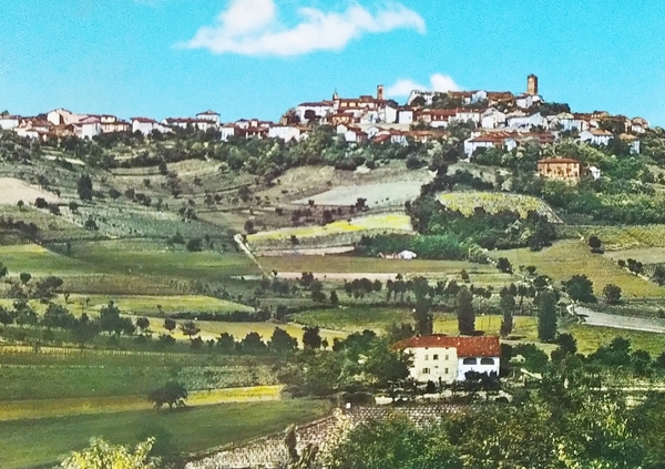 Cartolina - Conzano (Alessandria) - Panorama - 1970