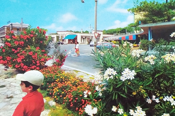 Cartolina - Tirrenia - Largo Belvedere - 1965 ca.