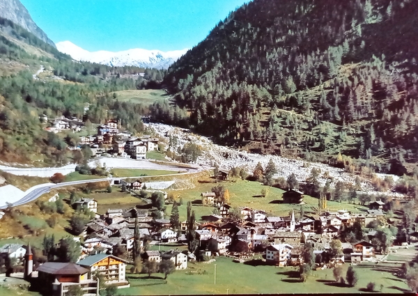 Cartolina - Courmayeur - Entrèves - Panorama verso la Palud …