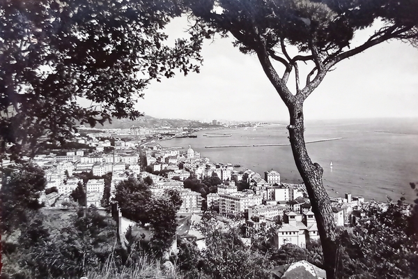 Cartolina - Ge-Pegli - Panorama - 1956
