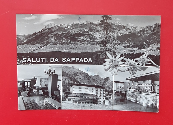 Cartolina Saluti da Sappada Albergo Casa ai Monti mt. 1250 …