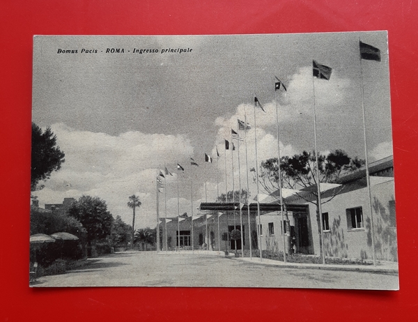 Cartolina Roma Domus Pacis - Ingresso Principale - 1953