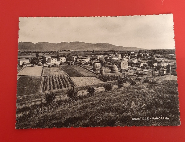 Cartolina Guasticce - Panorama - 1957