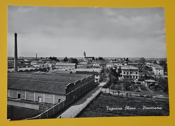 Cartolina Fagnano Olona - Panorama - 1922