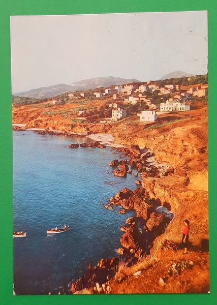 Cartolina Palinuro - Panorama - 1960