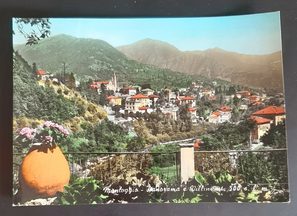 Cartolina Montoggio - Panorama e Villini - 1965