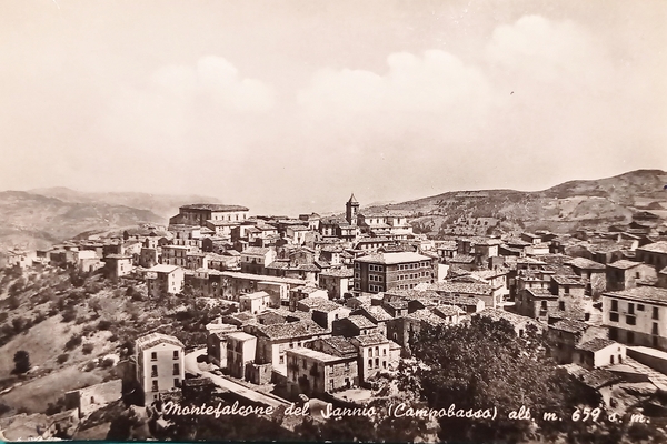 Cartolina - Montefalcone del Sannio ( Campobasso ) - 1956