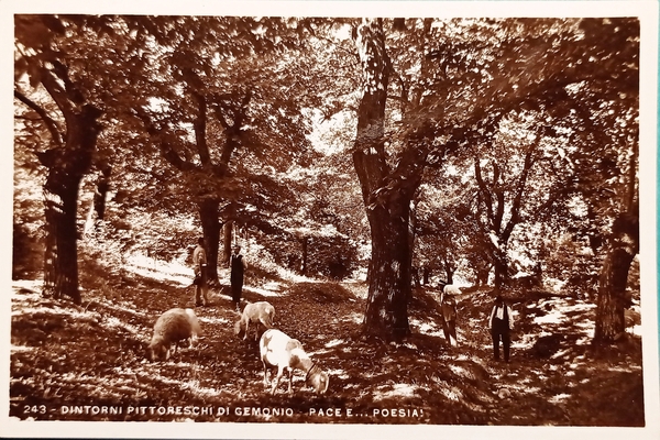 Cartolina - Dintorni Pittoreschi di Gemonio - Pace e Poesia …