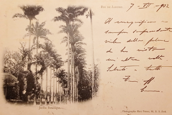 Cartolina - Brasile - Rio de Janeiro - Jardin Botanique …