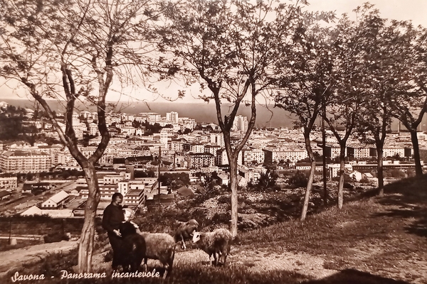 Cartolina - Savona - Panorama incantevole - 1960 ca.