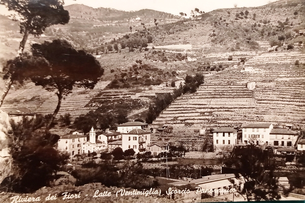 Cartolina - Riviera dei Fiori - Latte ( Ventimiglia ) …