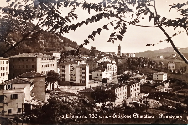 Cartolina - Loiano ( Bologna ) - Stazione Climatica - …