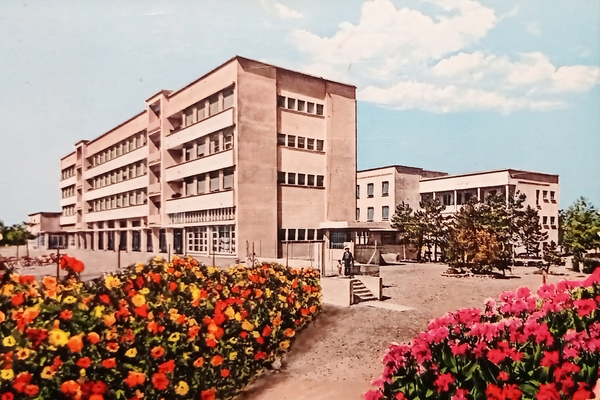 Cartolina - Lignano Sabbiadoro ( Udine ) - Colonia Soggiorno …