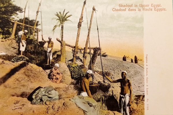 Cartolina - Egitto - Shadouf in Upper Egypt - 1910 …