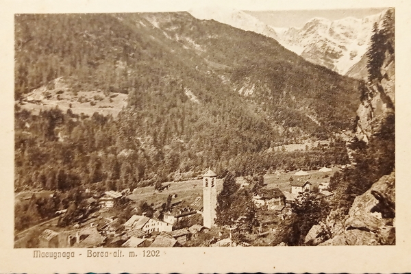 Cartolina - Macugnaga ( Verbano Cusio Ossola ) - Borca …