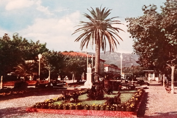 Cartolina - Marina di Pietrasanta ( Tonfano ) - Piazza …