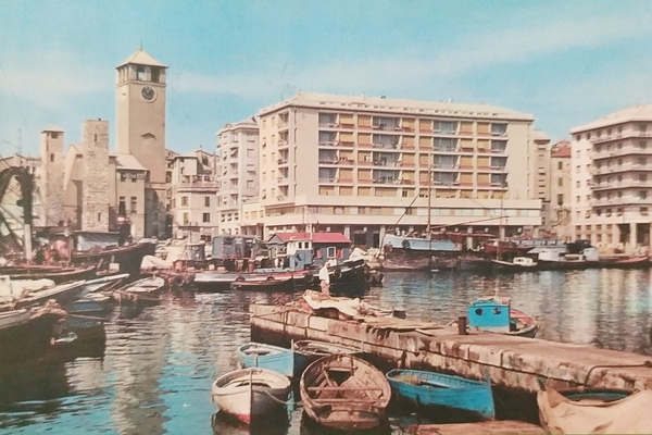Cartolina - Savona - Porto e Torre del Brandale - …