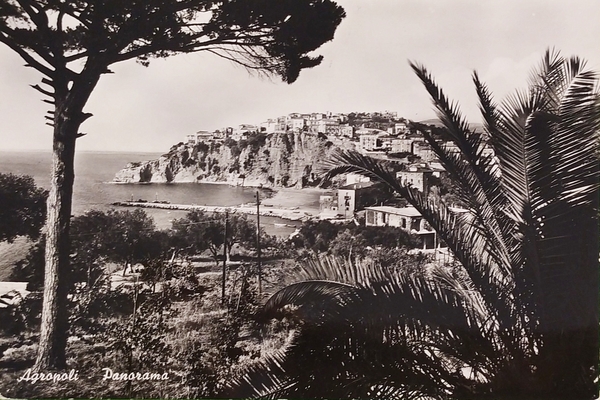 Cartolina - Agropoli ( Salerno ) - Panorama - 1961