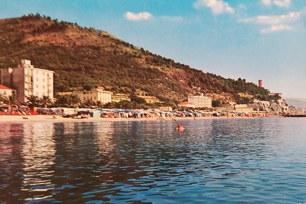 Cartolina - Riviera delle Palme - Ceriale - Camping Pineta …