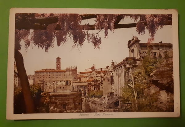 Cartolina - Roma - Foro Romano - 1931