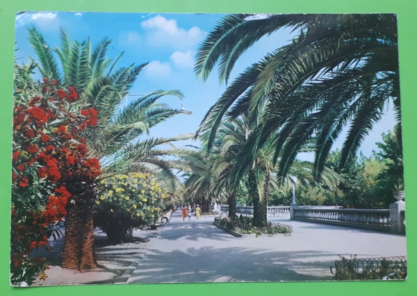 Cartolina - S. Benedetto del Tronto - Viale Trieste - …