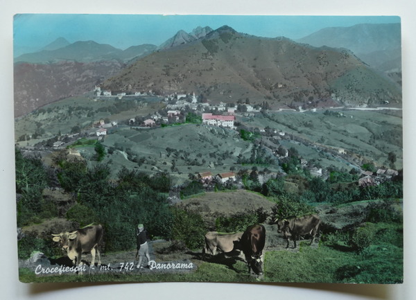 Cartolina Crocefieschi - Panorama - 1964