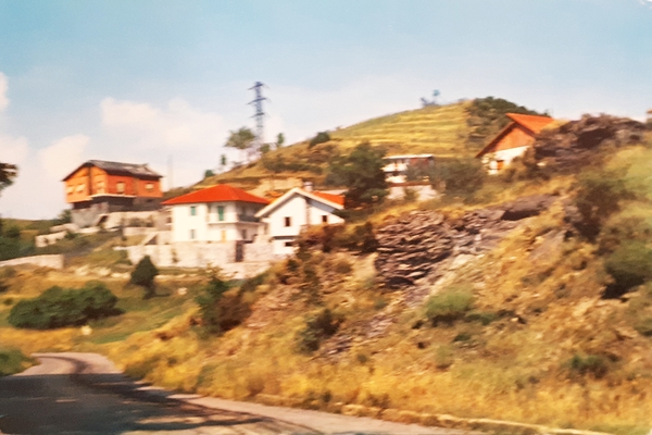 Cartolina - Villini di S. Alberto - Bargagli - 1970 …