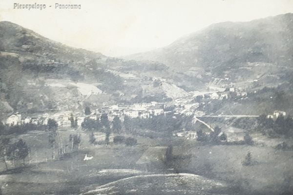 Cartolina - Pievepelago - Panorama - 1925