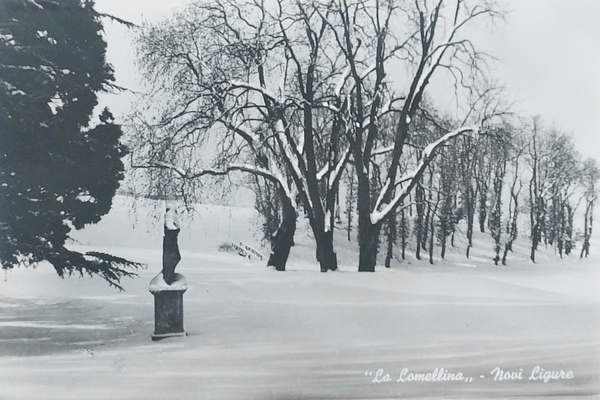 Cartolina - La Lomellina - Novi Ligure - 1960 ca