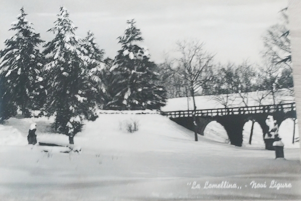 Cartolina - La Lomellina - Novi Ligure - 1965 ca.