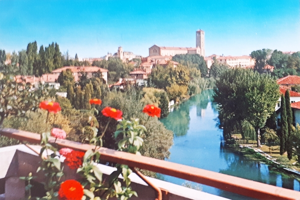 Cartolina - Treviso - Panorama con il Sile - 1973