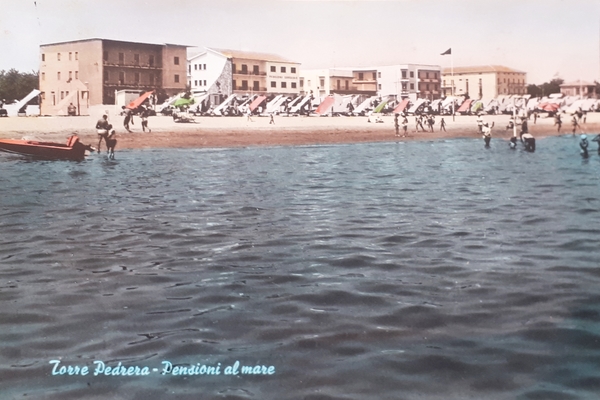 Cartolina - Torre Pedrera - Pensioni al Mare - 1964