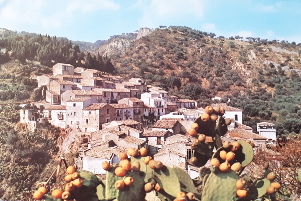 Cartolina - Gioiosa Jonica - Veduta parziale - 1967