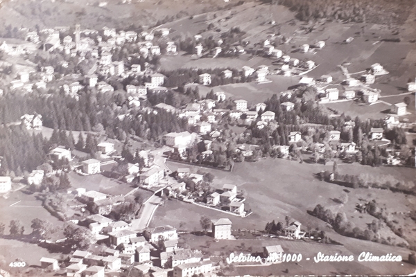 Cartolina - Selvino - Stazione Climatica - 1962