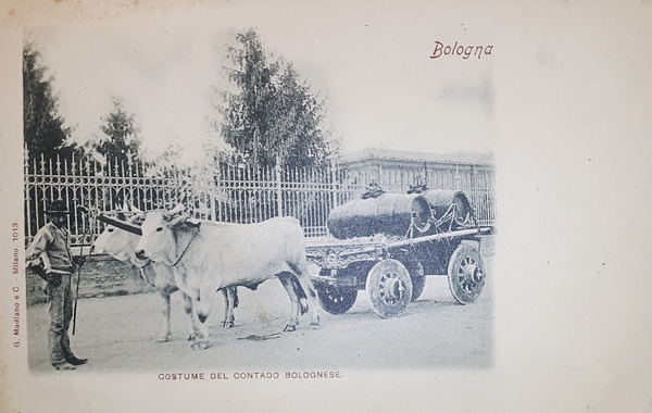 Cartolina - Bologna - Costume del Contado Bolognese - 1900 …