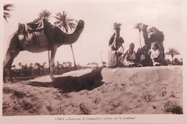 Cartolina - Libia - Carovana di Cammellieri sostano per la …