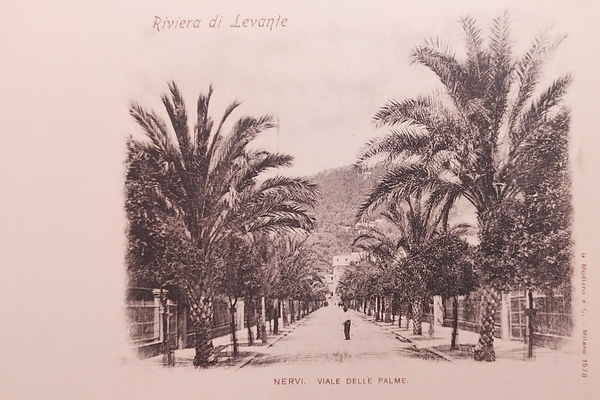 Cartolina - Nervi - Valle delle Palme - Riviera di …