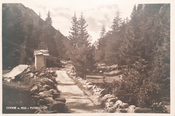 Cartolina - Cogne - Passeggiata - 1947