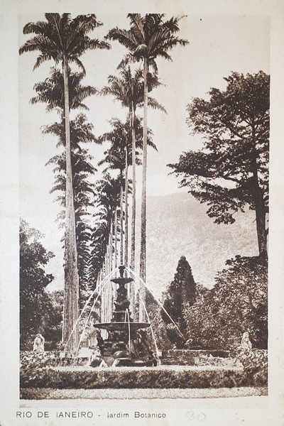Cartolina - Brasile - Rio De Janeiro - Jardim Botanico …