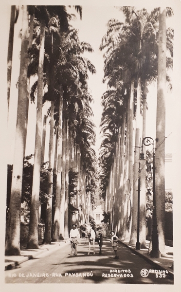 Cartolina - Brasile - Rio De Janeiro - Rua Paysandù …
