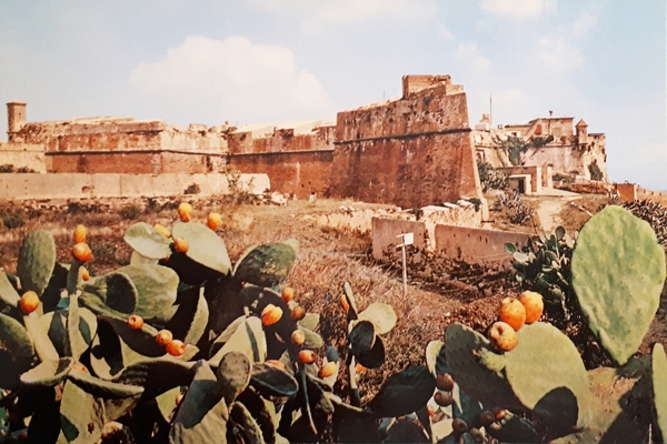 Cartolina - Isola d'Elba - Portoferraio - Le Fortezze Medicee …