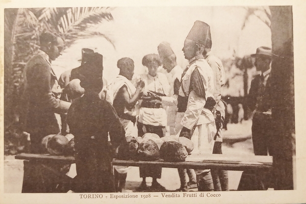 Cartolina - Torino - Esposizione 1928 - Vendita Frutti di …