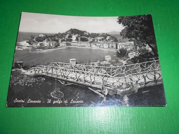 Cartolina Sestri Levante - Il Golfo di Levante 1948.