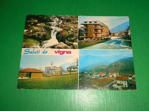 Cartolina Saluti da Vigna ( Valle Pesio ) - Vedute …