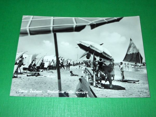Cartolina Torre Pedrera - Particolare della spiaggia 1958.