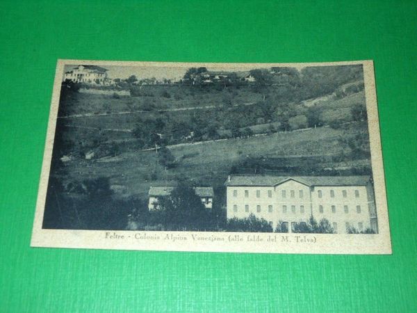 Cartolina Feltre - Colonia Alpina Veneziana 1950.